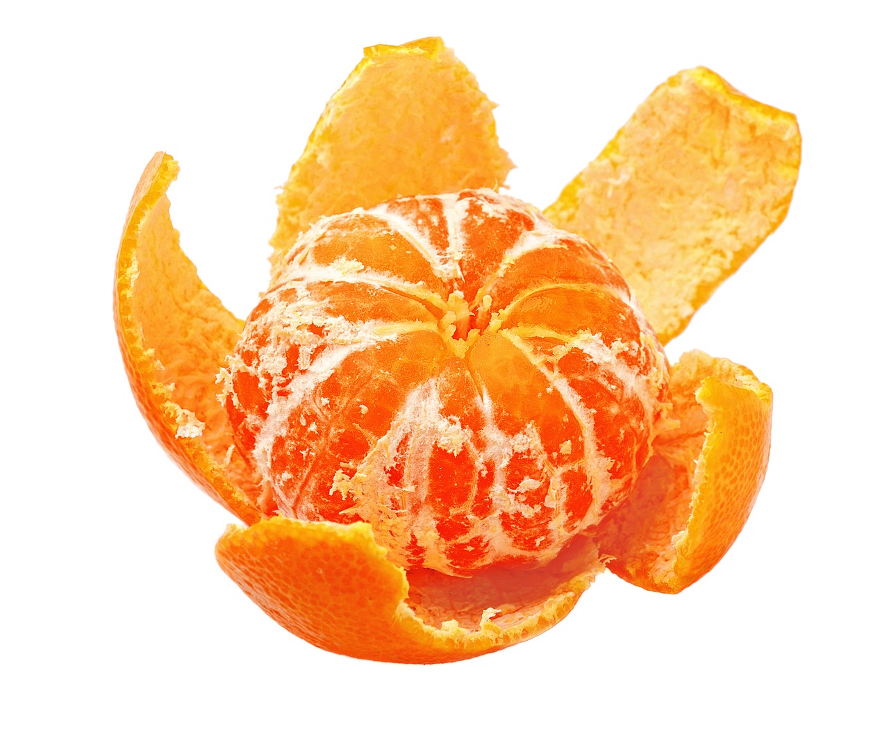 5 ideias de títulos:
1. Laranja-Cravo vs. Mexerica: Entenda as Diferenças e Semelhanças
2. Guia Completo da Tangerina Cravo: Sabor