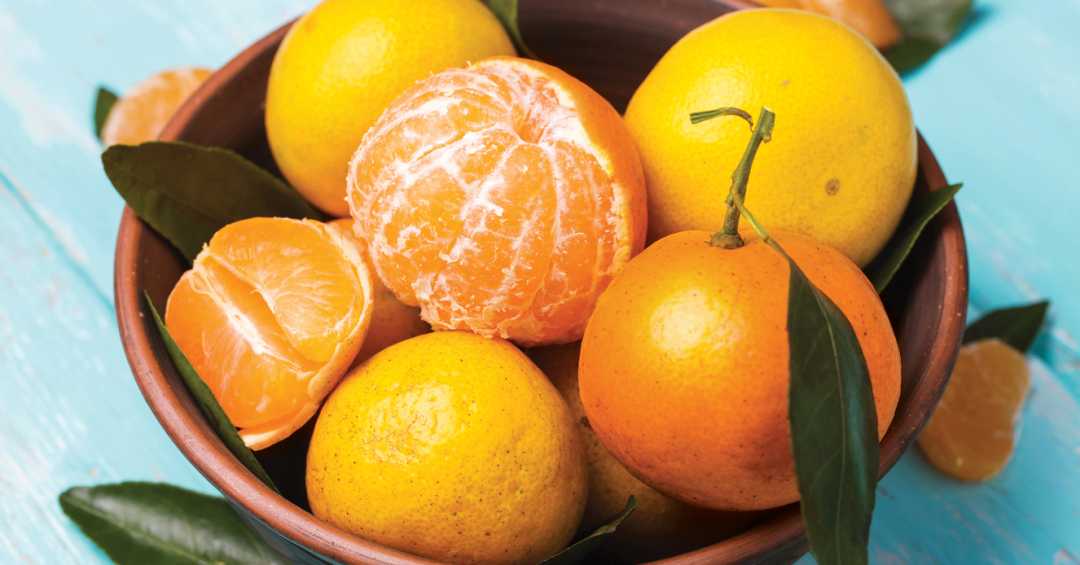 Nutrição e Nomes Regionais
3. Descubra os Benefícios da Laranja-Cravo para sua Saúde
4. Qual Tangerina Escolher? Cravo