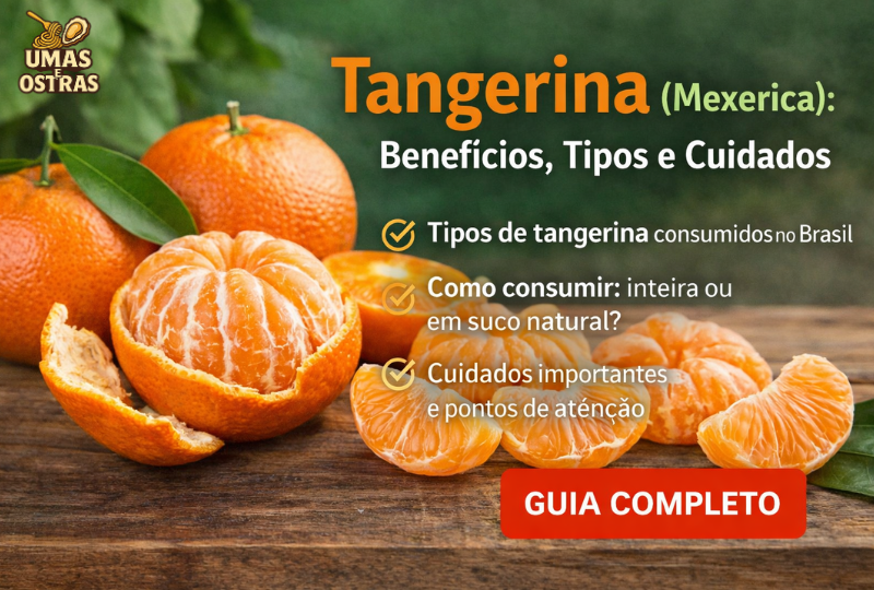 Ponkan e Outras Variedades Explicadas
5. A Incrível Jornada dos Nomes da Mexerica pelo Brasil