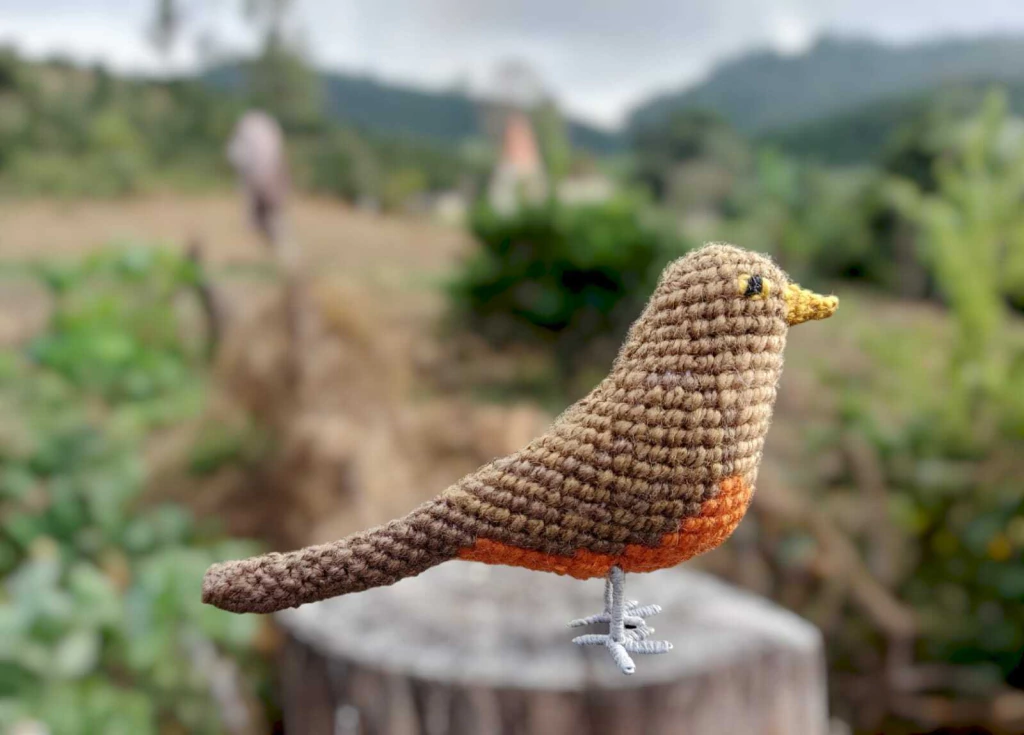 canto e hábitos alimentares