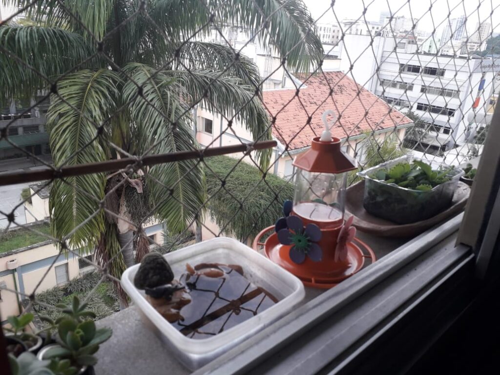 Crie um santuário para pássaros: Comedouros