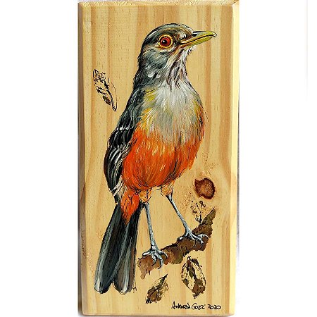 bebedouros e abrigos ideais