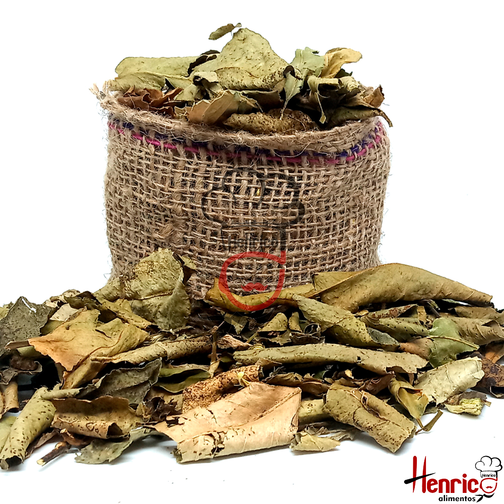 5 Dicas Essenciais para Salvar sua Laranjeira Murcha
Como Identificar e Tratar Pragas Comuns em Laranjeiras
O Guia Completo da Rega Correta para Laranjeiras Saudáveis
Nutrição para Laranjeiras: Os Sinais de Deficiência e Como Corrigir
Laranjeira com Folhas Murchas: Um Guia Rápido de Soluções