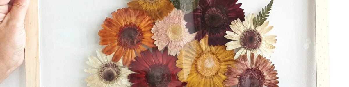 laranjeira com folhas murchas