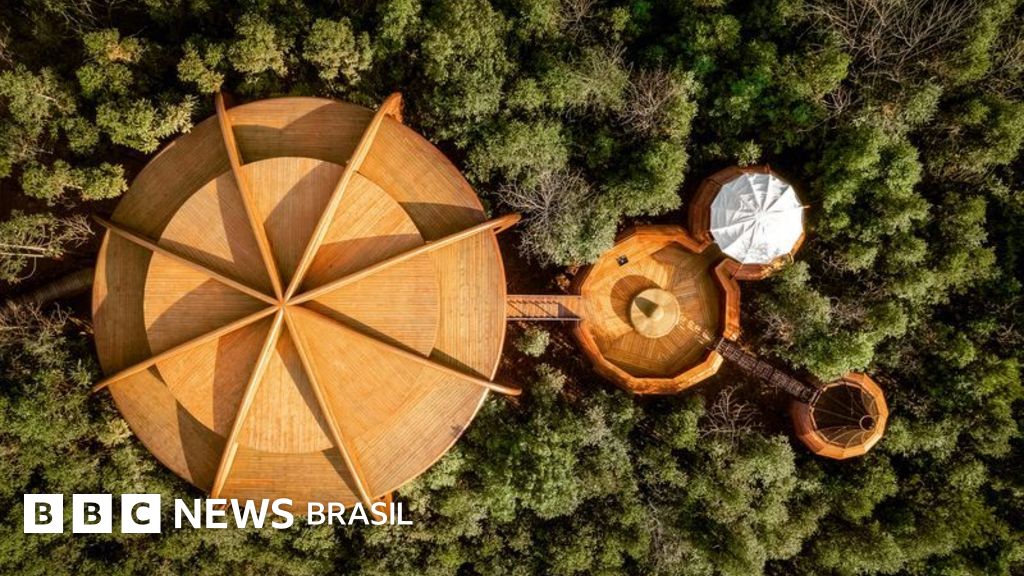 5 ideias de títulos:
1. Gomose em Laranjeiras: Identificação e Tratamento Eficaz
2. Rachaduras no Tronco da Laranjeira: Causas