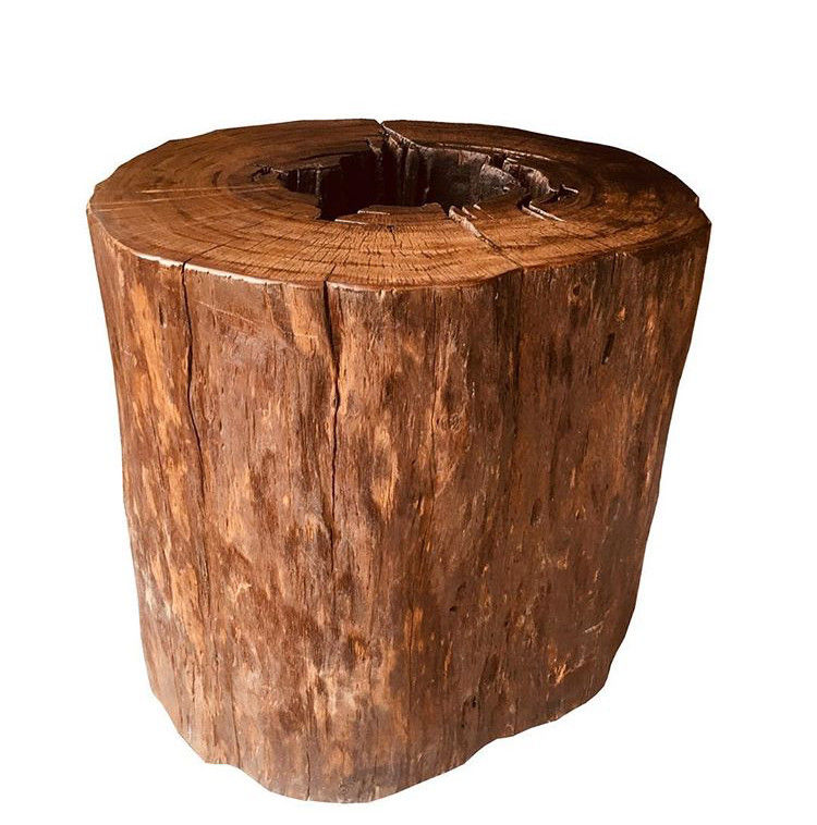 laranjeira com tronco rachado