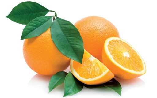 Laranjeira Pé-Franco: Vantagens e Desvantagens de Plantar por Semente