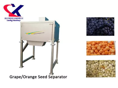 As Melhores Variedades de Laranja para Enxertia no Brasil