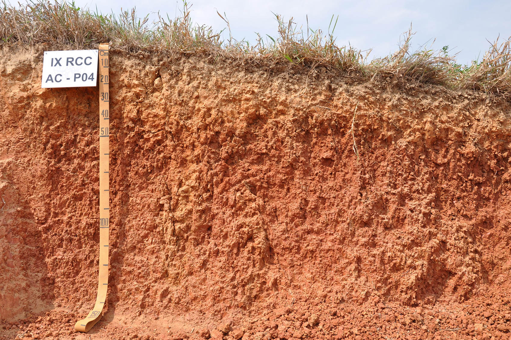 Sistemas de Irrigação Eficientes para Citros: Escolha o Melhor para Sua Fazenda