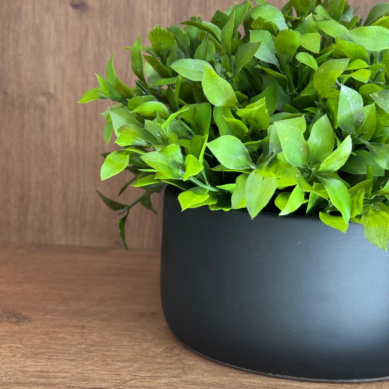 Guia Completo: Escolhendo o Vaso Ideal para Sua Laranjeira