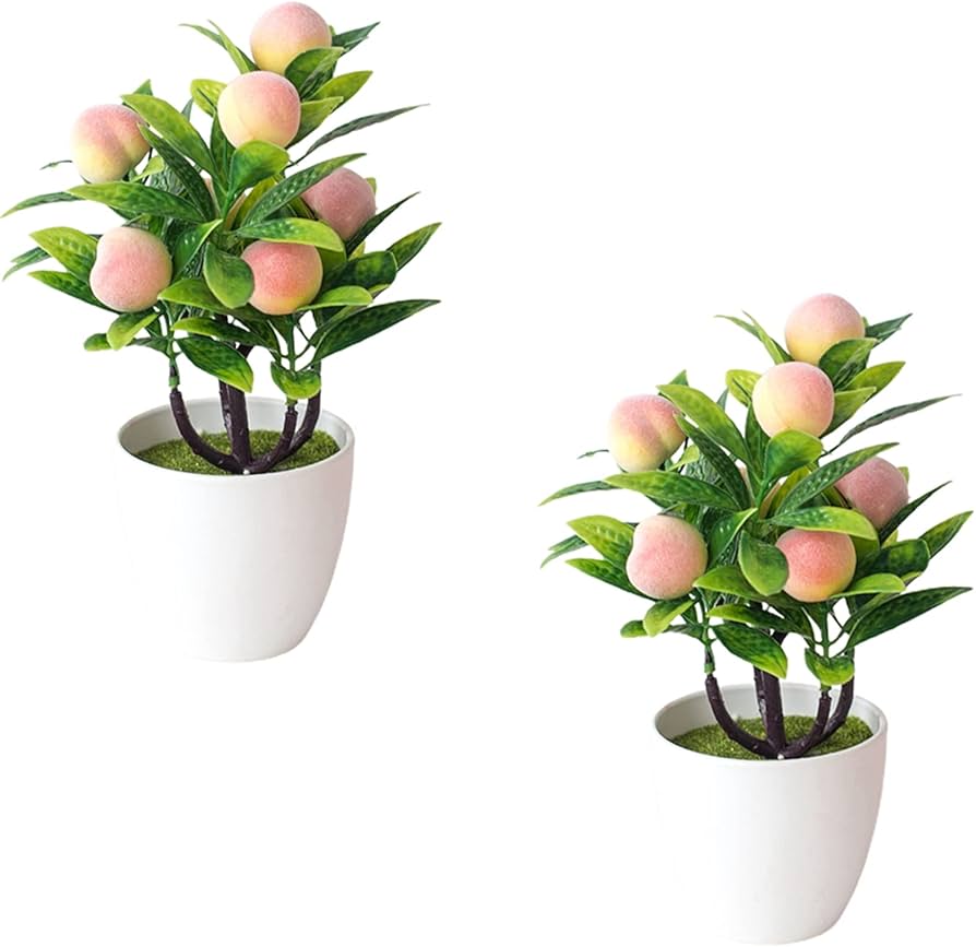 Laranja Kinkan e Outras Variedades Anãs para Pequenos Espaços