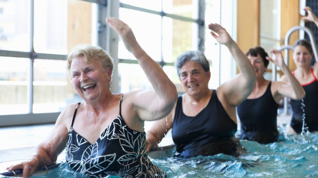 Como Organizar um Piquenique Perfeito para Avós e Netos