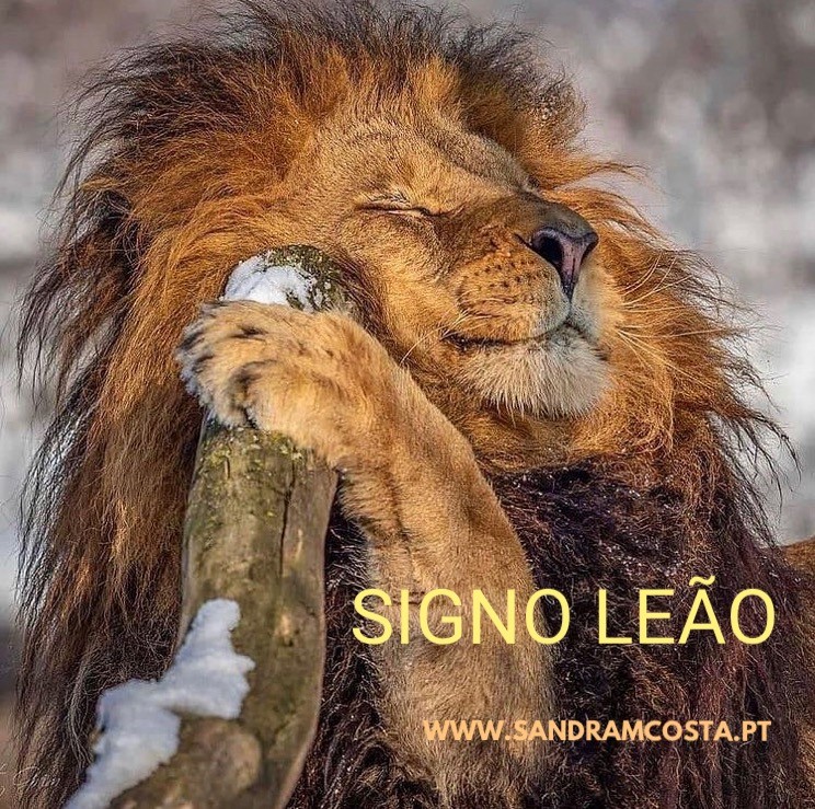 leao signo
