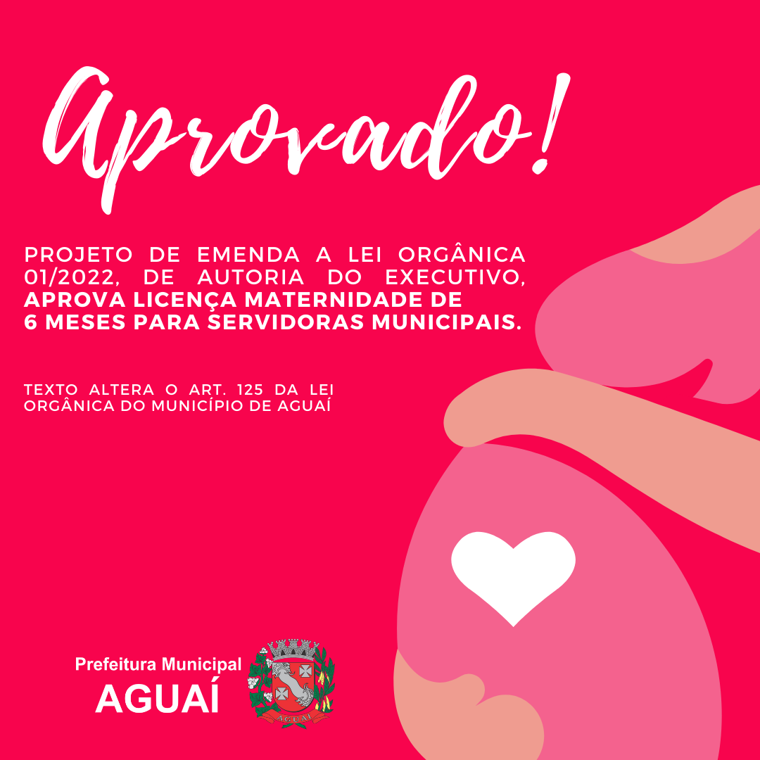 Guia Completo: Salário-Maternidade para Autônomas e MEI em 2026