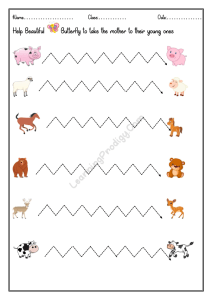 Lines Up Surfboards: Inovação e Tradição no Surf Brasileiro