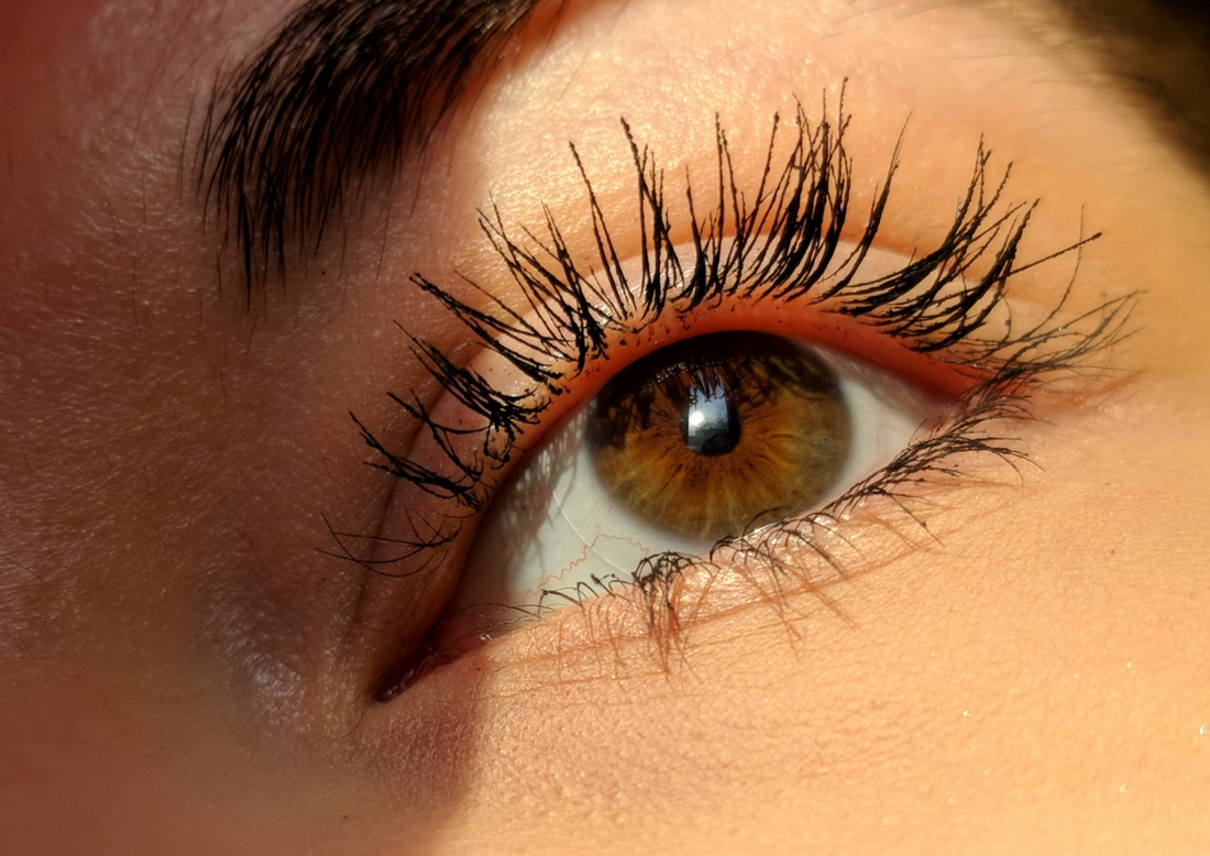 Análise das Letras: O Significado por Trás de 