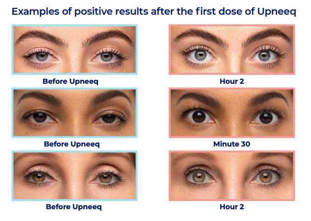 Desvendando a Gramática: Quando Usar 'Look' e 'See' Corretamente