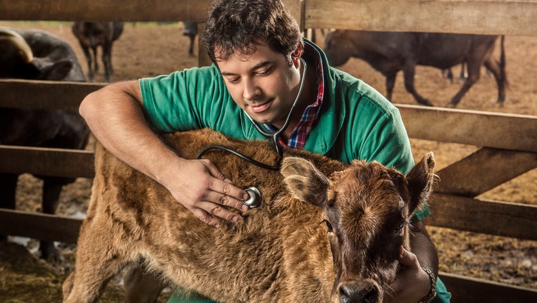 medicina veterinária de grandes animais