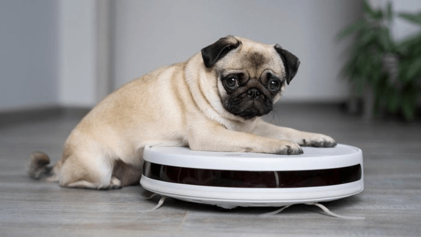 melhor robô aspirador para quem tem pets