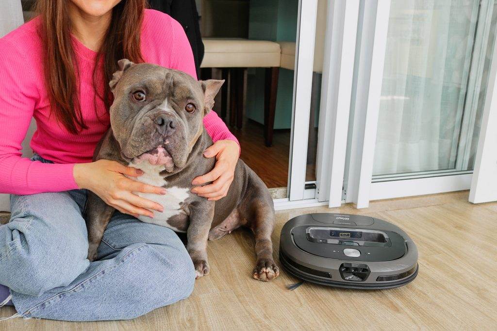 Como escolher o robô aspirador ideal para cada tipo de pet