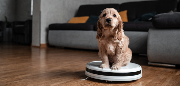 Manutenção de robôs aspiradores: Dicas para donos de animais