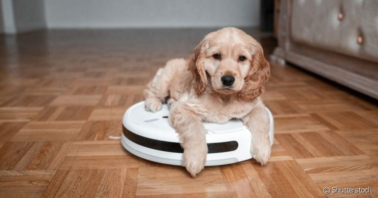 Tecnologias de navegação em robôs aspiradores: Qual a melhor para sua casa?