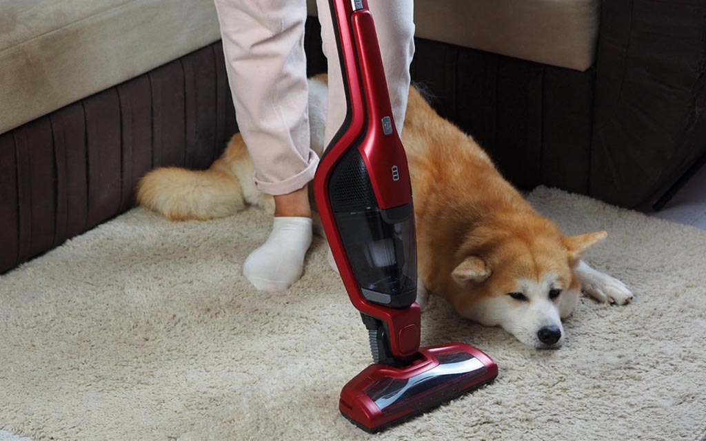 Robôs aspiradores com base autovaziante: Vale a pena o investimento?