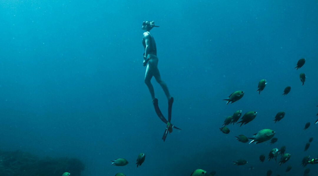 melhores destinos para mergulho no Brasil