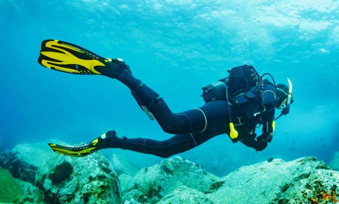 melhores destinos para mergulho no Brasil