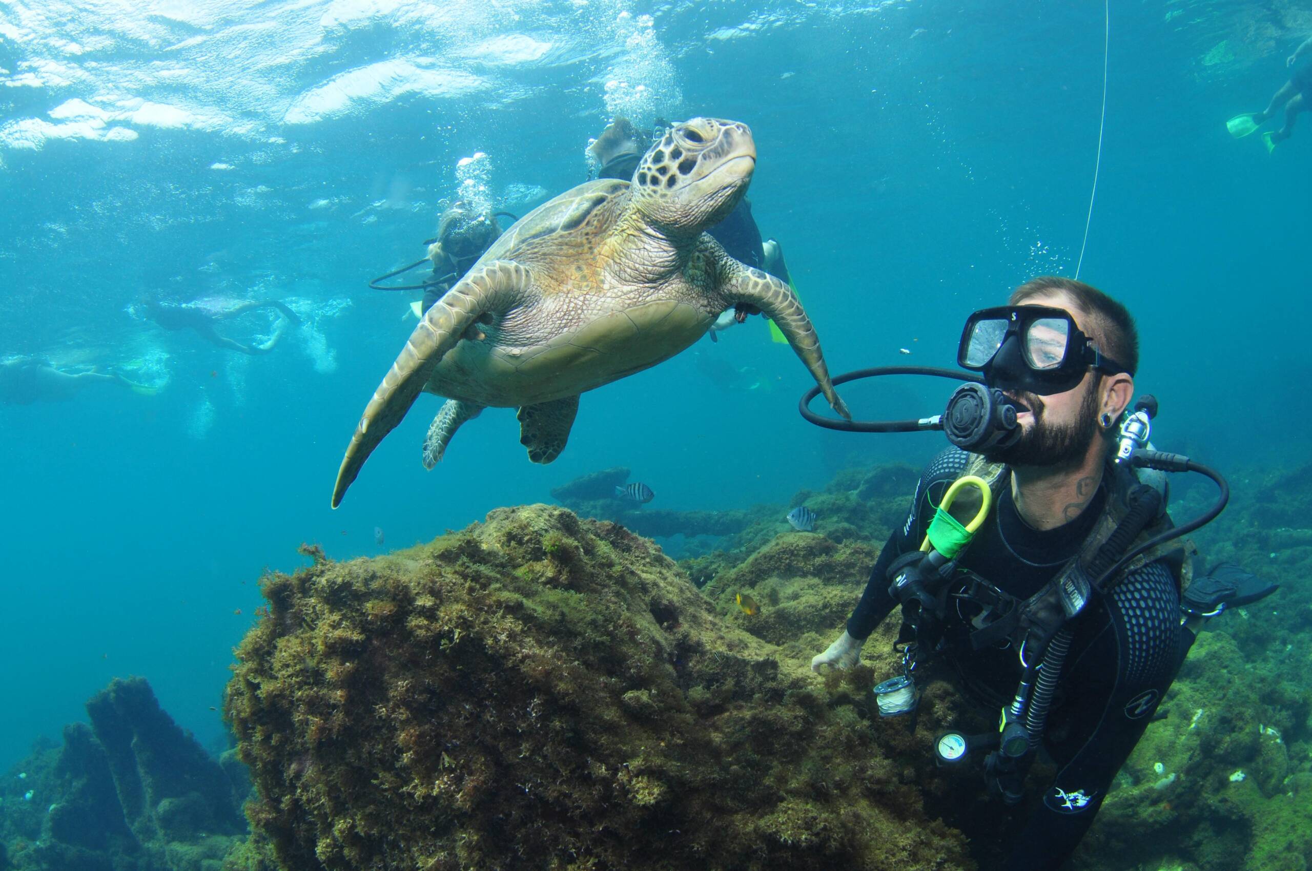 melhores destinos para mergulho no Brasil