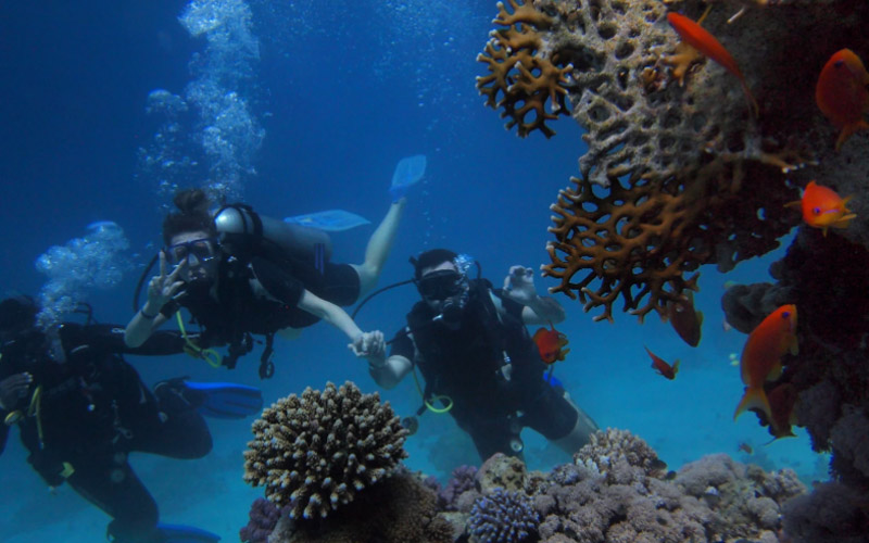 melhores destinos para mergulho no Brasil