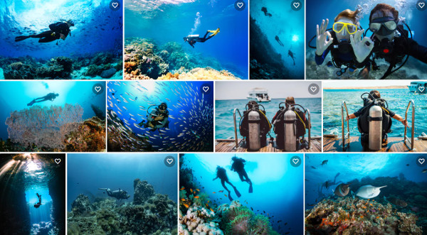 melhores destinos para mergulho no Brasil