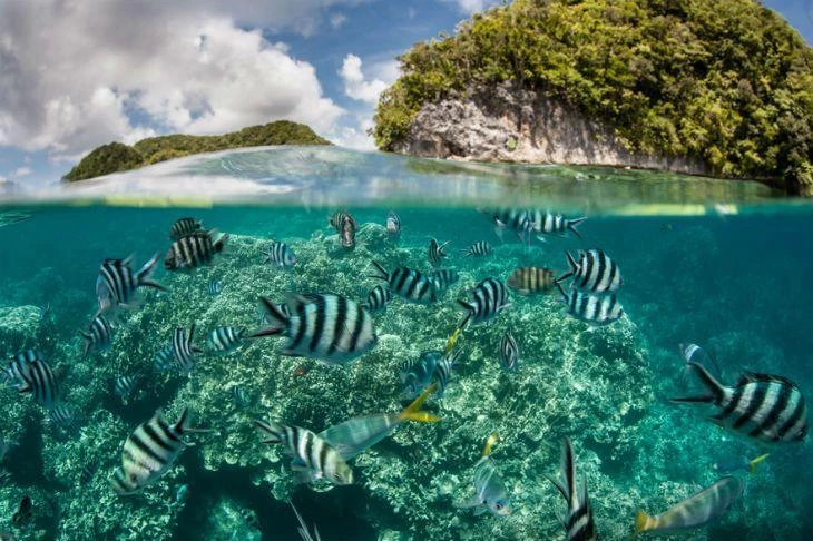 melhores destinos para mergulho no Brasil