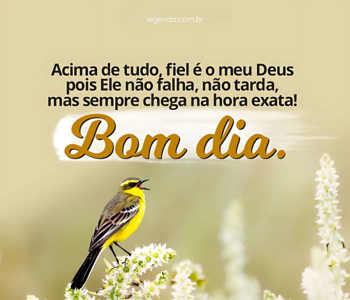 mensagem de bom dia de deus