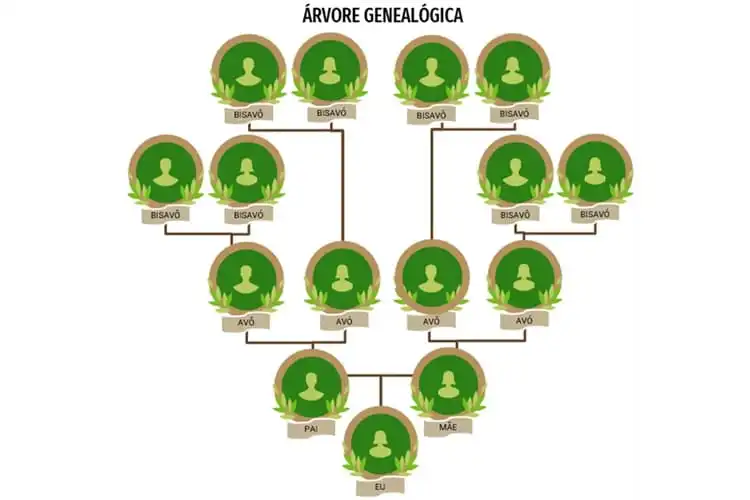 como montar minha arvore genealogica gratis