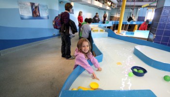 Guia Completo: Museus Gratuitos para Crianças em SP e RJ