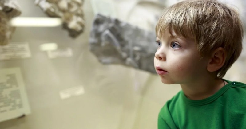 Guia Completo: Museus Gratuitos para Crianças em SP e RJ