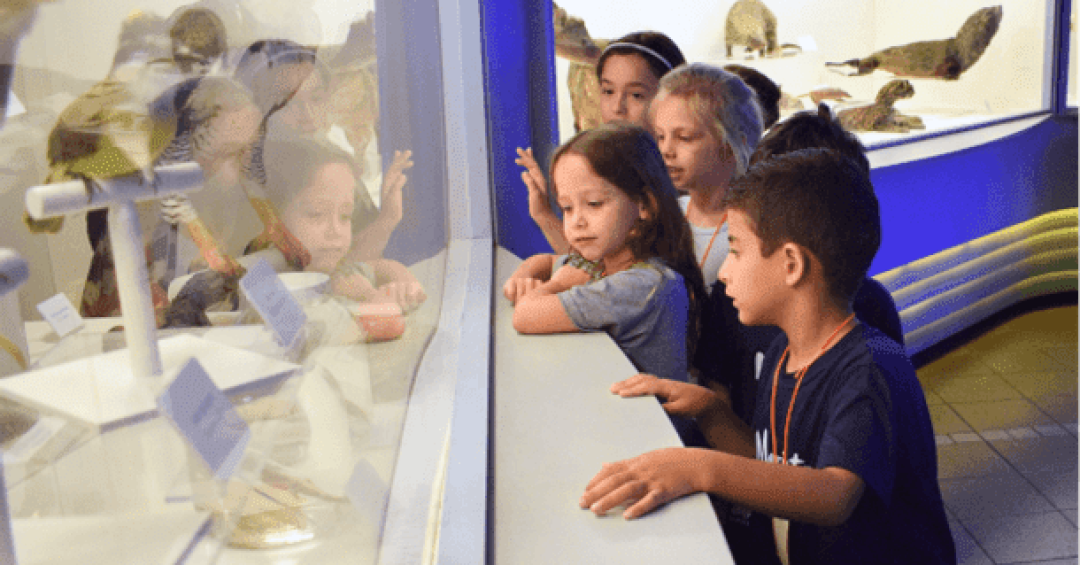 10 Dicas para Visitar Museus com Crianças Pequenas