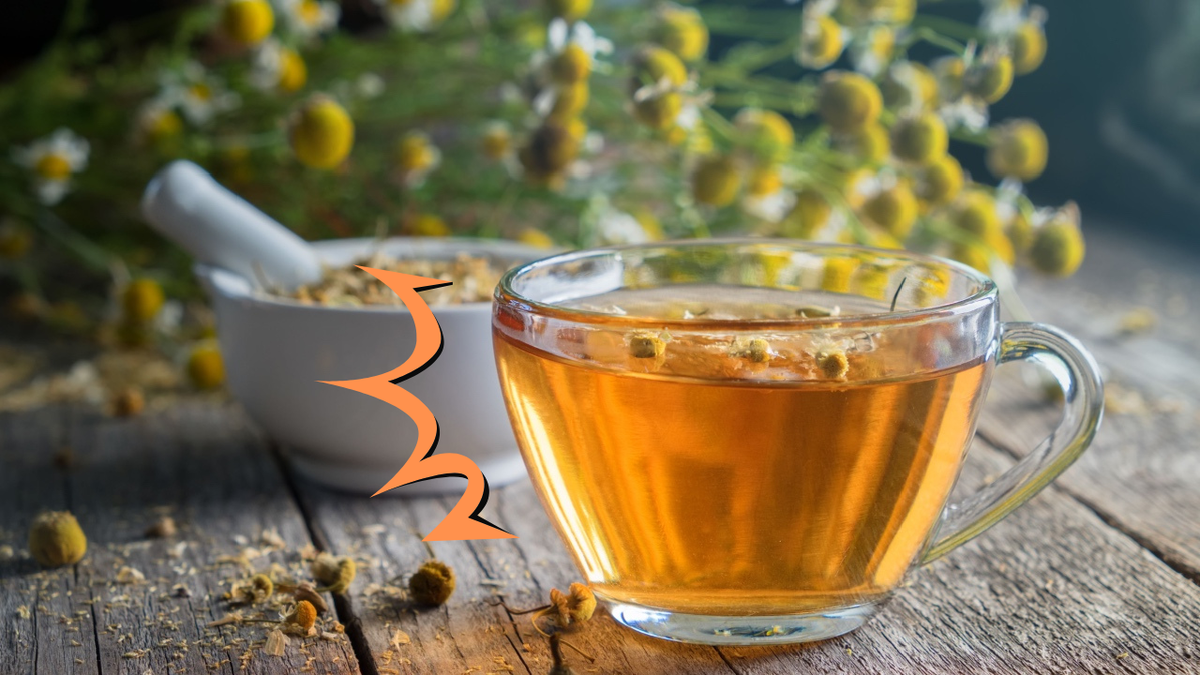 O que acontece se beber camomila todo dia