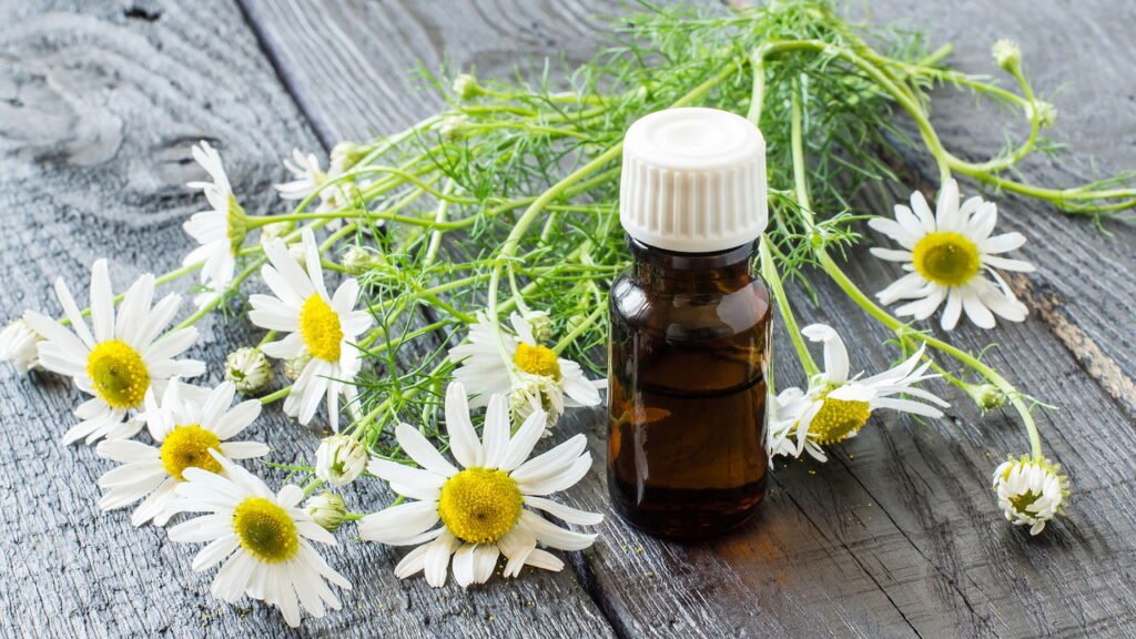 Camomila e Medicamentos: Evite Riscos de Interação