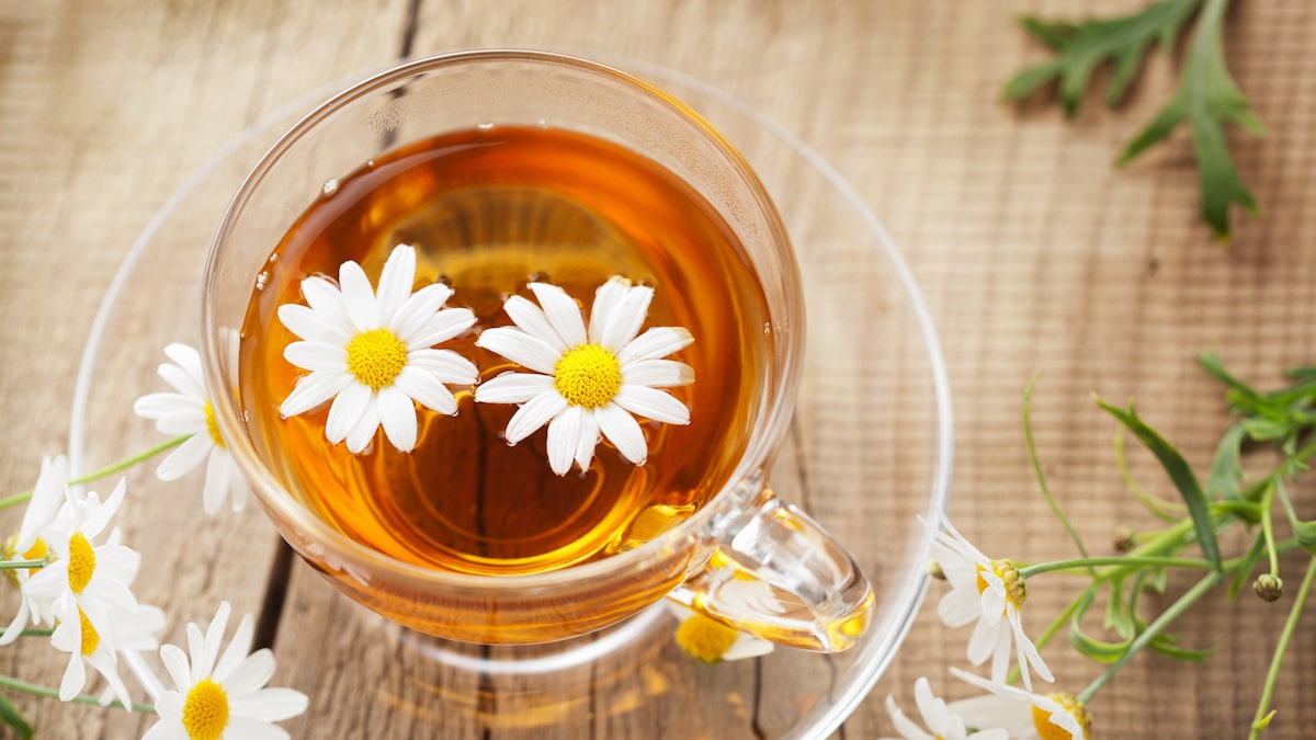 O que acontece se beber camomila todo dia