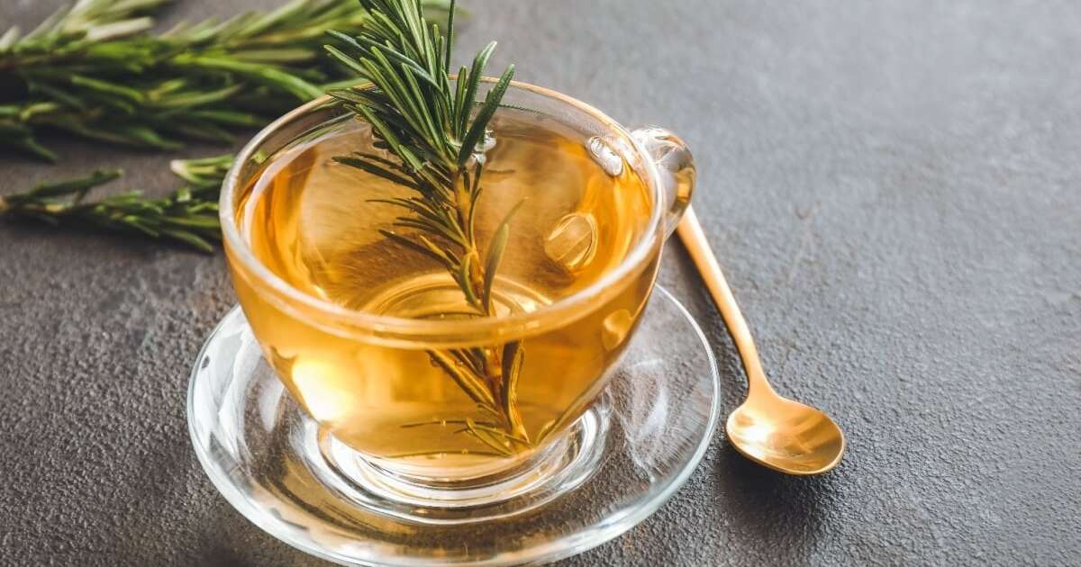 O que acontece se beber chá de alecrim todo dia