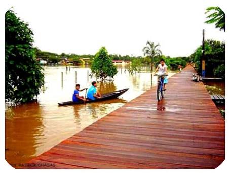 Top 5 Passeios Imperdíveis em Afuá: Da Trilha à Expedição de Barco
