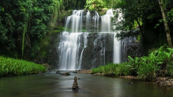 Onde Comer em Anchieta: Sabores da Moqueca Capixaba e Arroz de Anchieta