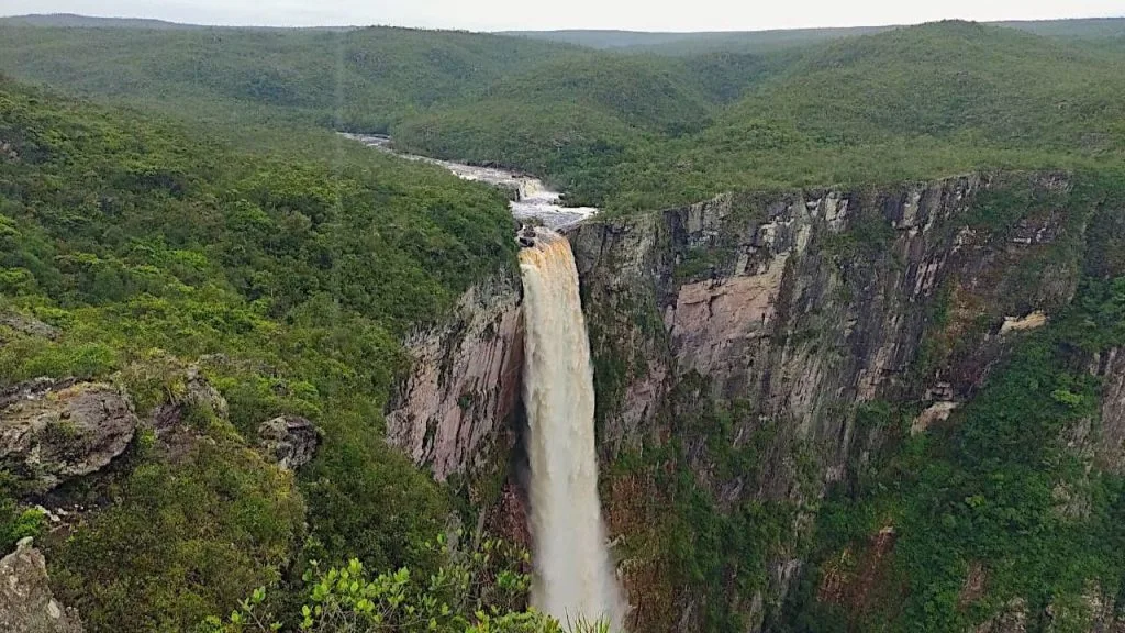 Guia Completo da Pesca Esportiva em Barcelos: Dicas e Melhores Épocas