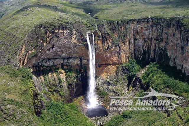 Guia Completo da Pesca Esportiva em Barcelos: Dicas e Melhores Épocas