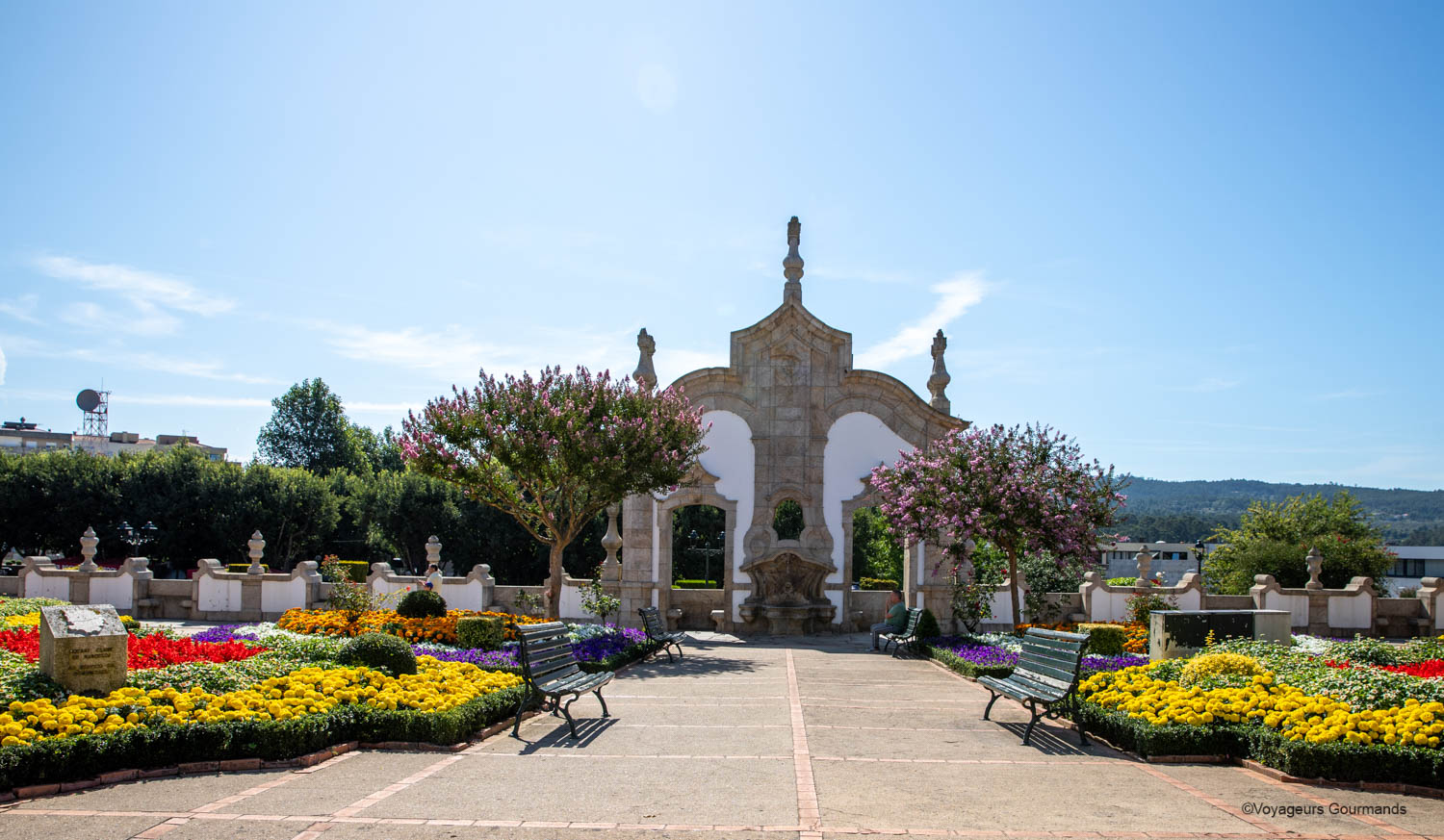 Gastronomia e Festivais no Coração do Amazonas