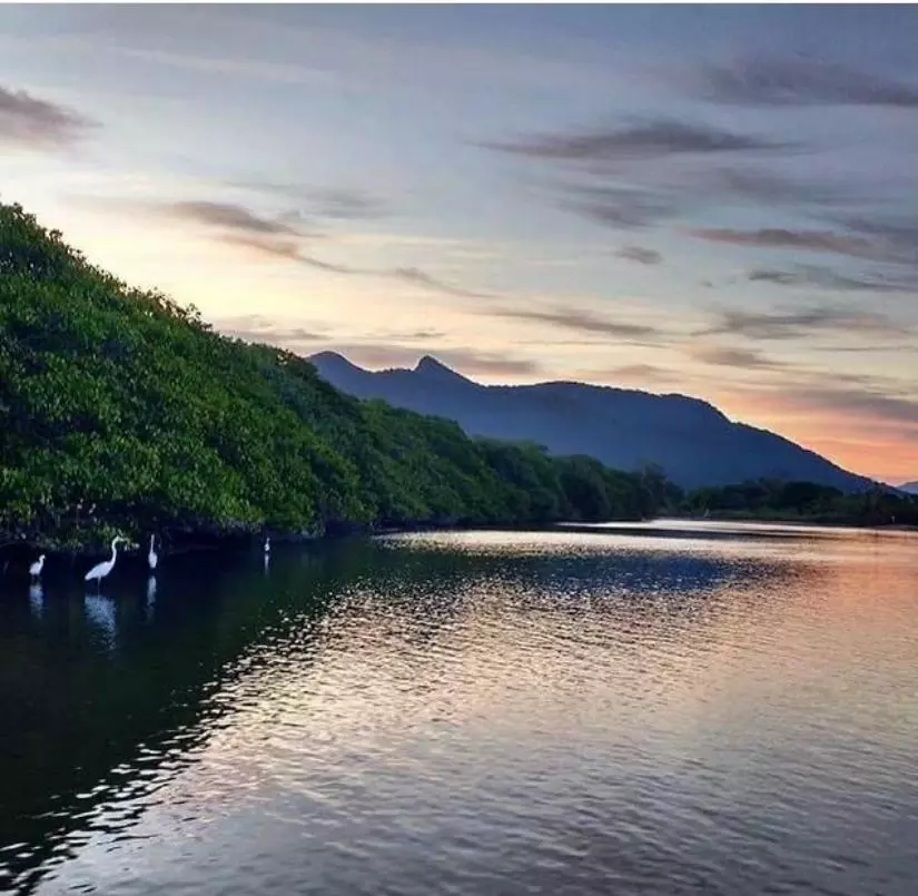 Barra de São João Além das Praias: Natureza e Aventura no Litoral Fluminense