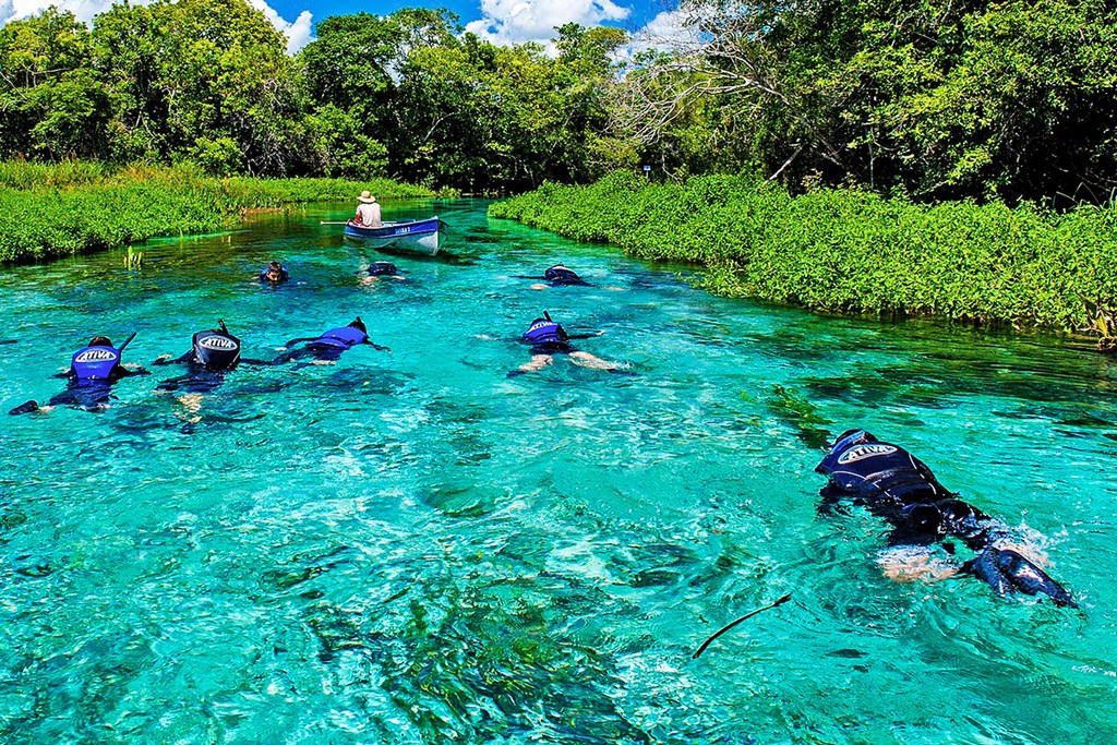 Roteiro de 5 Dias em Bonito: Otimizando Sua Aventura