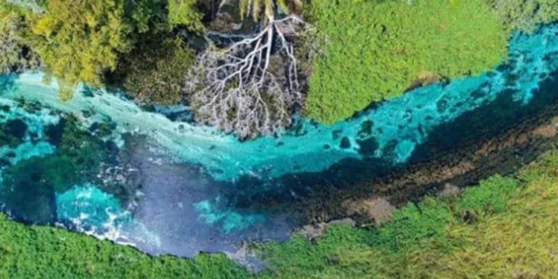 Abismo Anhumas: Vale a Pena o Passeio Mais Caro de Bonito?